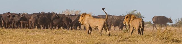 004 Botswana, Okavango Delta.jpg